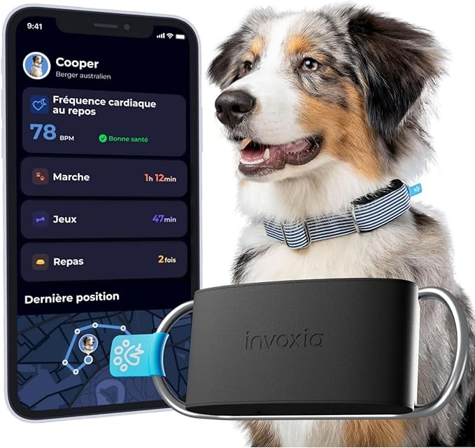 Invoxia Minitraceur 2026